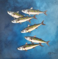 Les maquereaux - H.70 x L.70 cm - huile sur toile